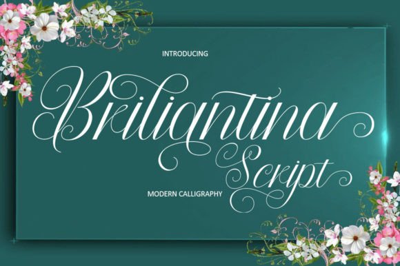 Briliantina Script: A Modern Script Font for Handmade Labels, Invitations & More