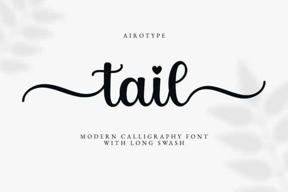 Elegant Branding with the Tail Script Font